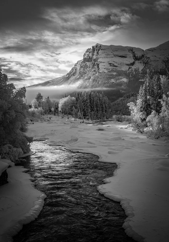 Vesleh&oslash;dn_vinter_bw