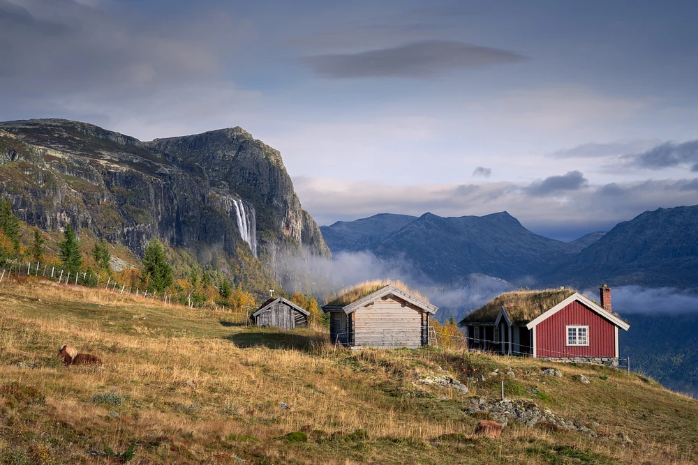 Leinest&oslash;len