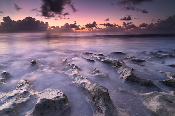 dawn - Seascapes - Deborah Sandidge 