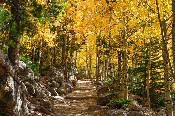 fall color trail - Deborah Sandidge 