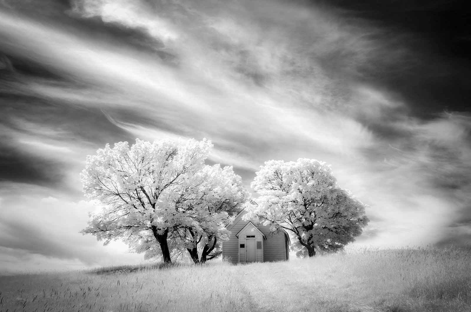 How Infrared Photography Can Turn Your Ordinary Images into Magical Photos