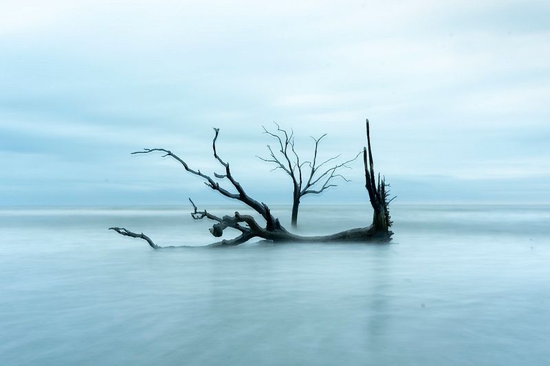 BONEYARD Outer Banks