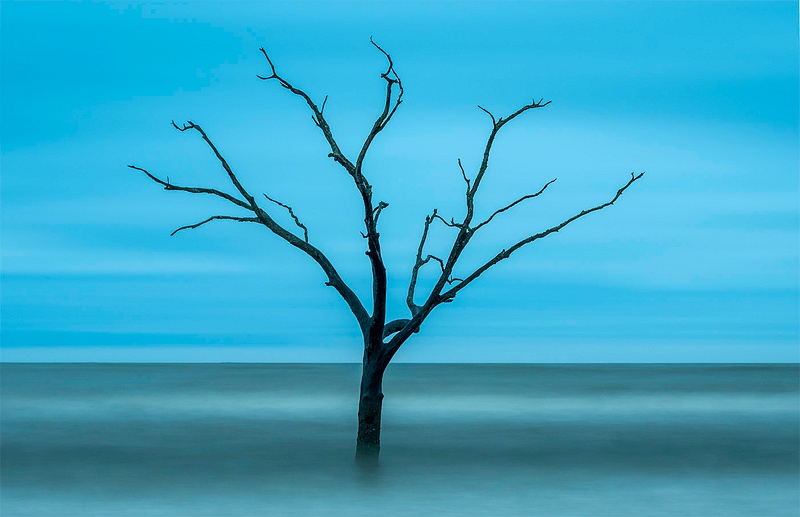 Boneyard_Outer Banks _Lone Treee_37  copy 2