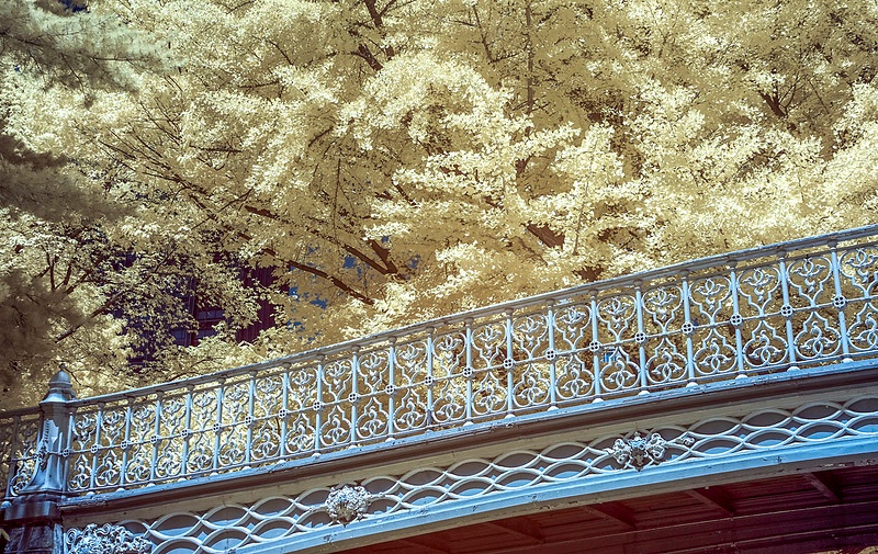 Pinebank Arch Central Park_C