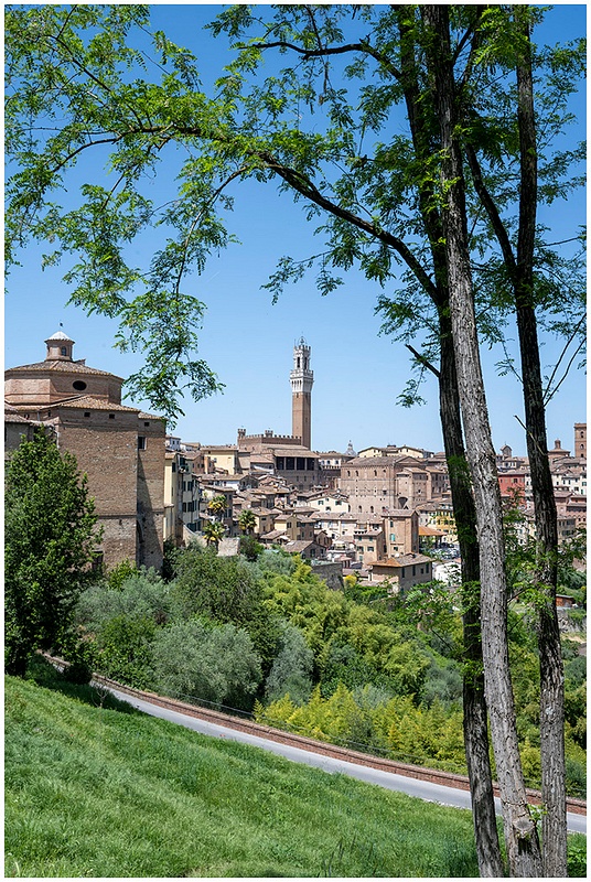 Siena ITALY_1396_2022 copy 2