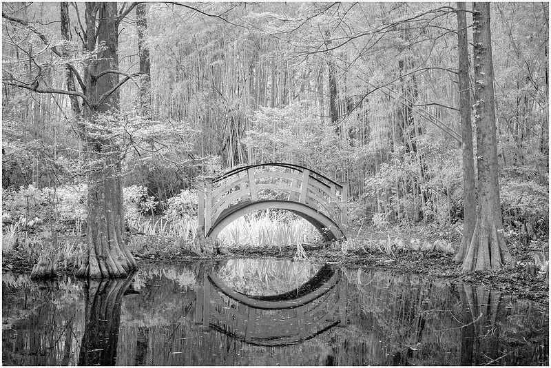 Magnolia Bridge Reflection SC CHARLESTON_103_2022_APRIL copy