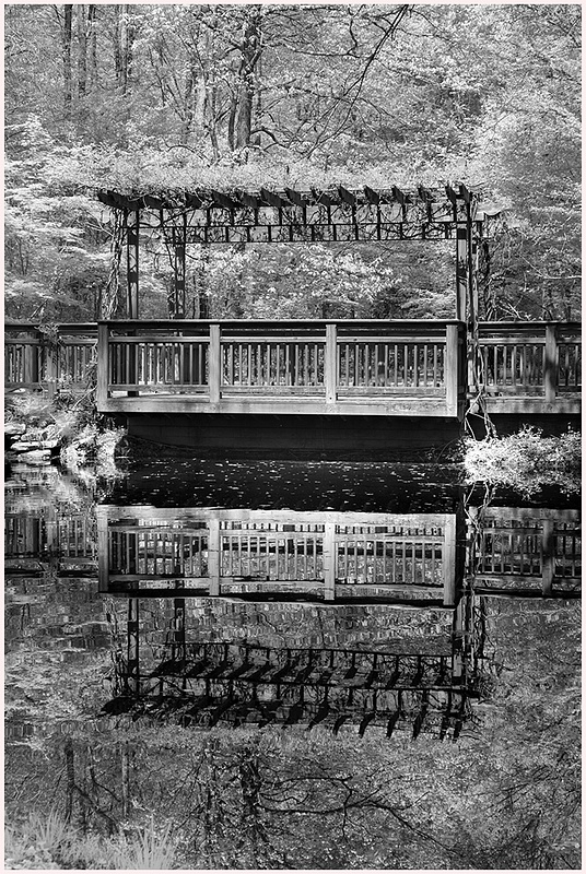 Bridge Reflection_Gibbs Garden_N GHA_4_22