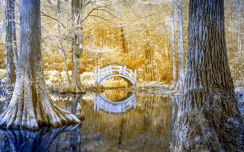 MAGNOLIA GARDEN BRIDGE_SC_99 copy
