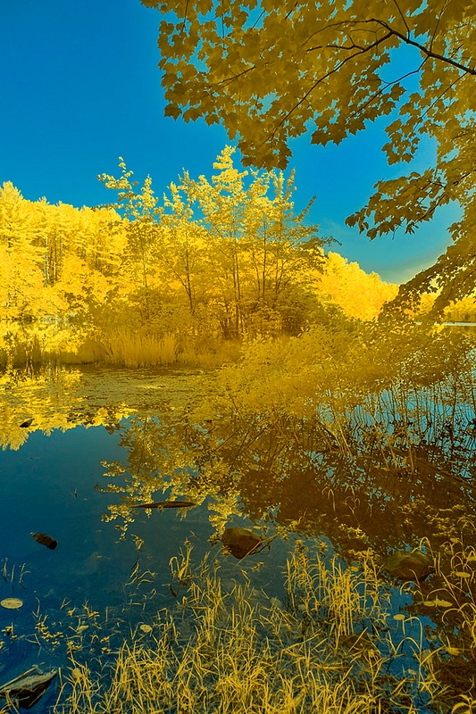 HOPE LAKE_C