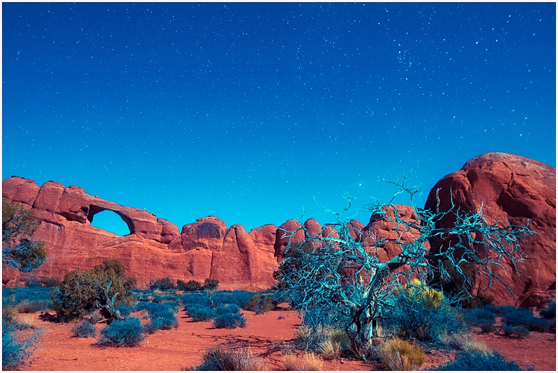 DESERT SKY_MOAB_363_NIGHT_copy 2