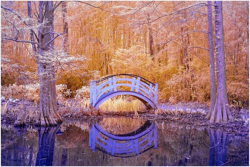 Magnolia Bridge Reflection SC CHARLESTON_103_2022_APRIL copy