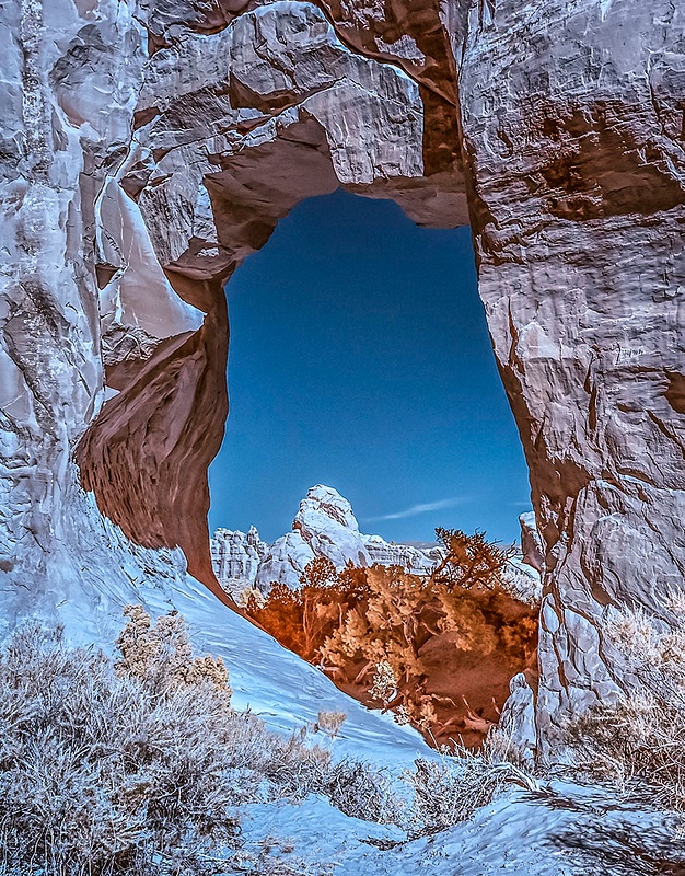 PINE TREE ARCH_3