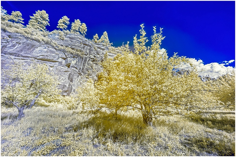 IR__Sedona_7_1316__8_12_22_ copy  3 copy