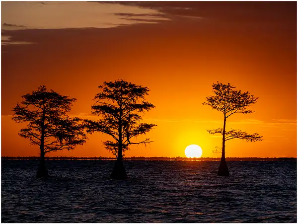 SEASCAPE-BARRIER ISLAND SUNRISE_1400__1097_2022_APRIL...