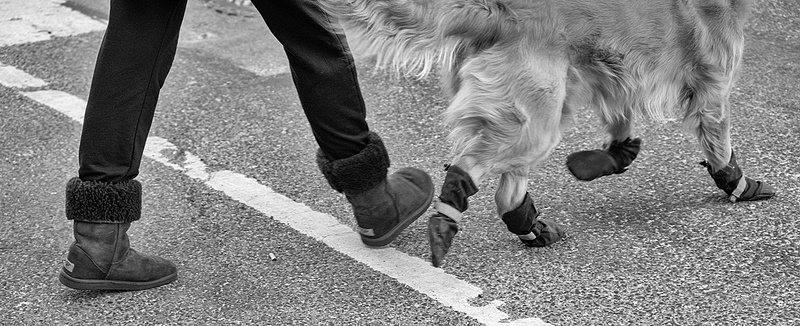 BW_Six Boots_NYC_12_28_22_5929 copy