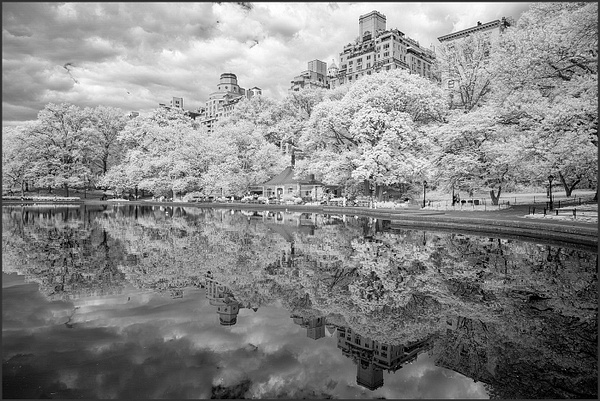 CP LAKE_IR_NYC_4_25_23_TUES_767 copy 3 - Norm Solomon Photography