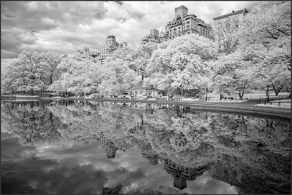CP LAKE_IR_NYC_4_25_23_TUES_767 copy 3 by NormSolomon
