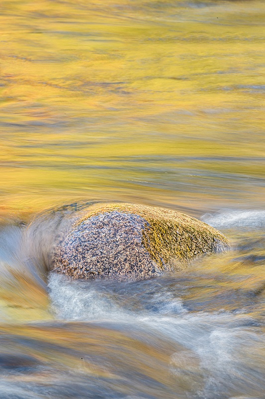 Stone in Stream_formatted_NH_DAY_361_10_03_23 copy