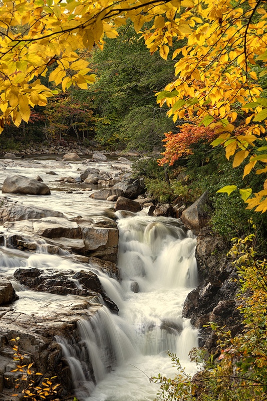 ROCKY GORGE WATERFALL NH_formatted__NH_DAY_292_10_03_23 copy 2