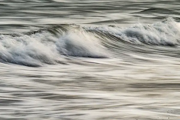 WAVE_LUNEN_DAY_10_18_23_1294 copy by NormSolomon