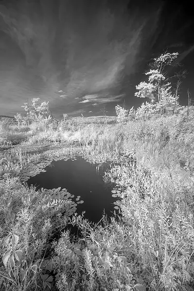 ADR_POND_08_16_25_1043 copy by NormSolomon