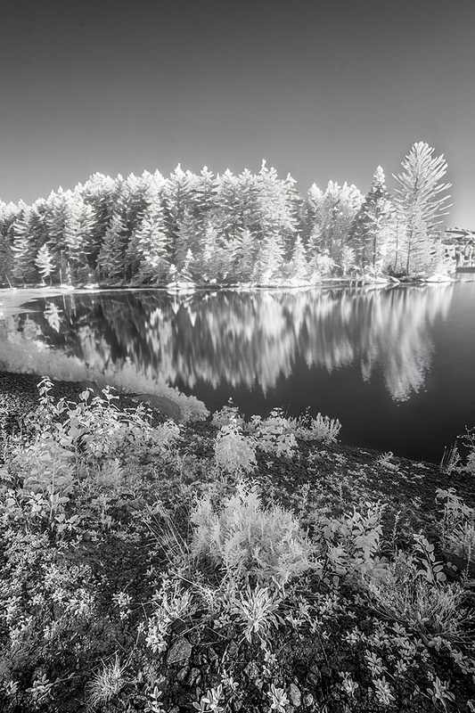 Curved pond_Z6I2643_ copy