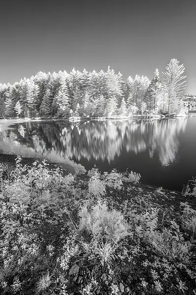 Curved pond_Z6I2643_ copy by NormSolomon