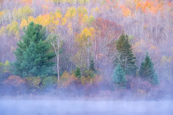 NH_2025_10_09__011508 copy_Coffin Pond by NormSolomon