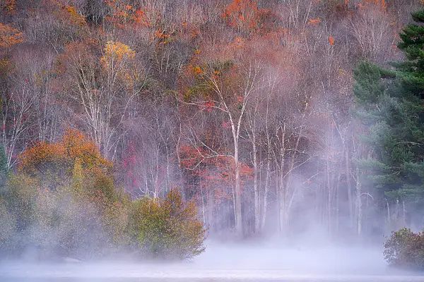 NH_2025_10_09__011513 copy_Coffin Pond by NormSolomon