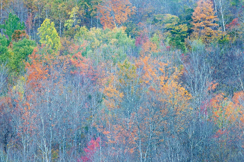 NH_2025_10_09__011552 copy_Coffin Pond