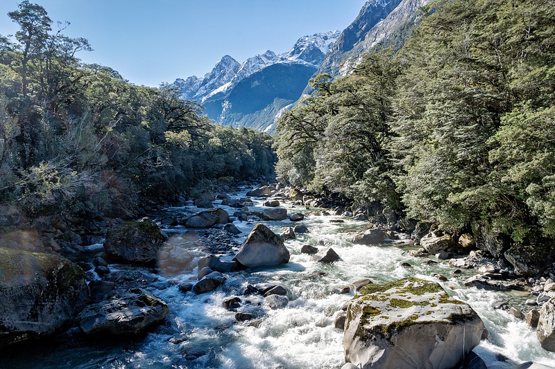 Milford Sound Area_2313_AuNz_2026_2313 copy