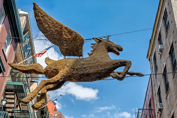 Chinatown Scultpture_NYC_05_20_26_83 copy by NormSolomon