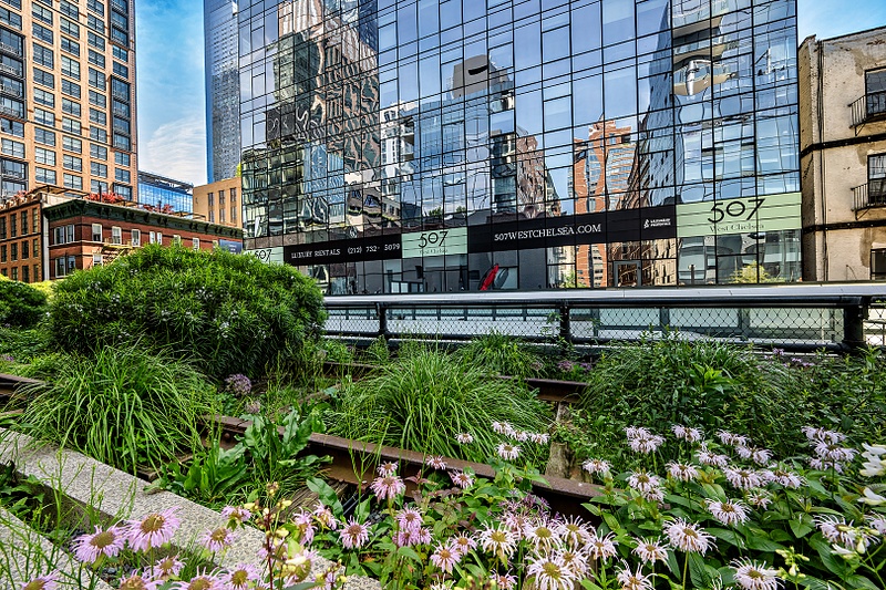 Highline_74_NYC_05_26_26_074 copy