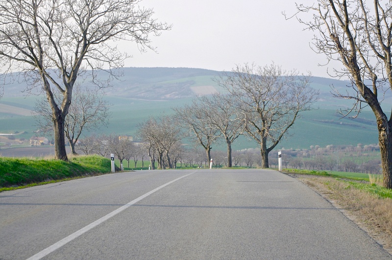 Moravia 2014