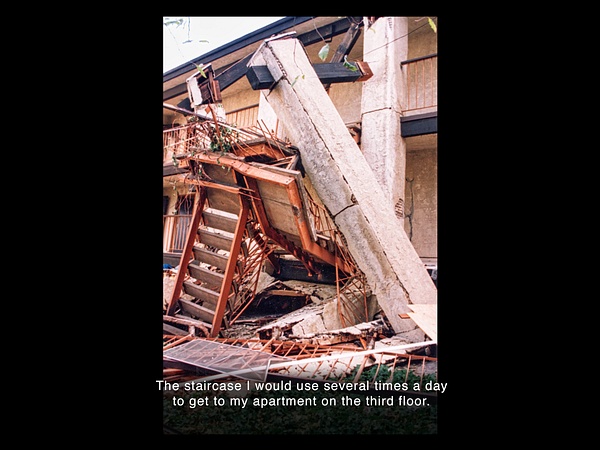 Book Images001 - The Day the Lion Roared Images - Knucklehead Ministries