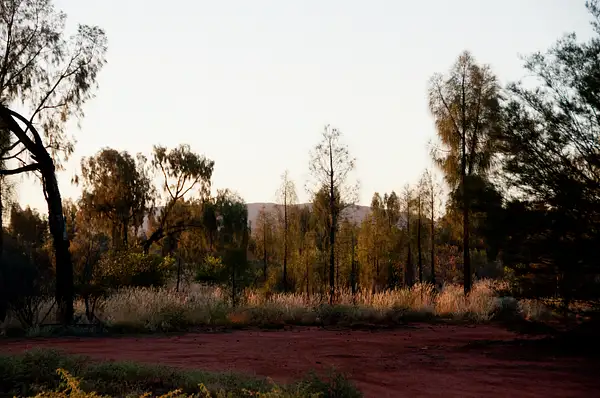 The first sunrise of 2011 over Uluru and the Red Centre...