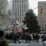 2011 NYC Christmas and random sights
