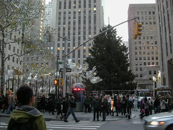 2011 NYC Christmas and random sights by Willis Chung