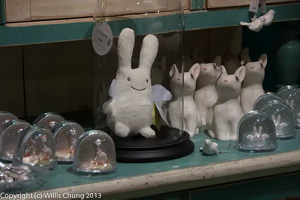 Stuffed rabbit under glass by Willis Chung