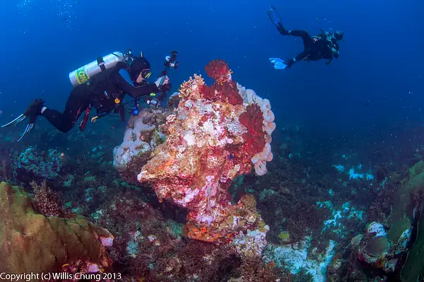2014Mar Bonaire east coast dive - Boca Onima by Willis...