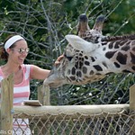 2014Sep Pittsburgh Zoo 1