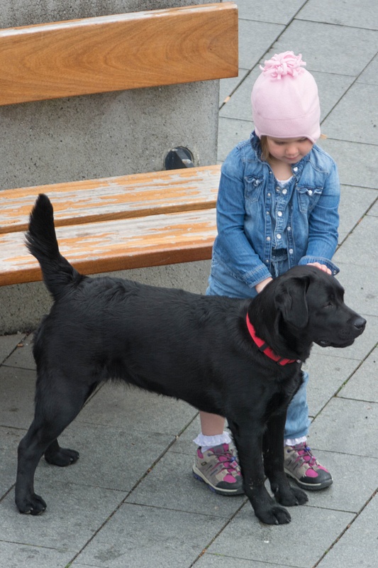 This lovely young lady and her patient dog friend were waiting at the bench.