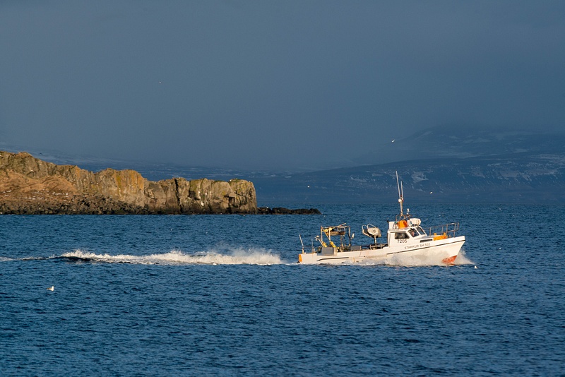 Fishing boat coming back home, setting sun on the boat and Grimsey Island