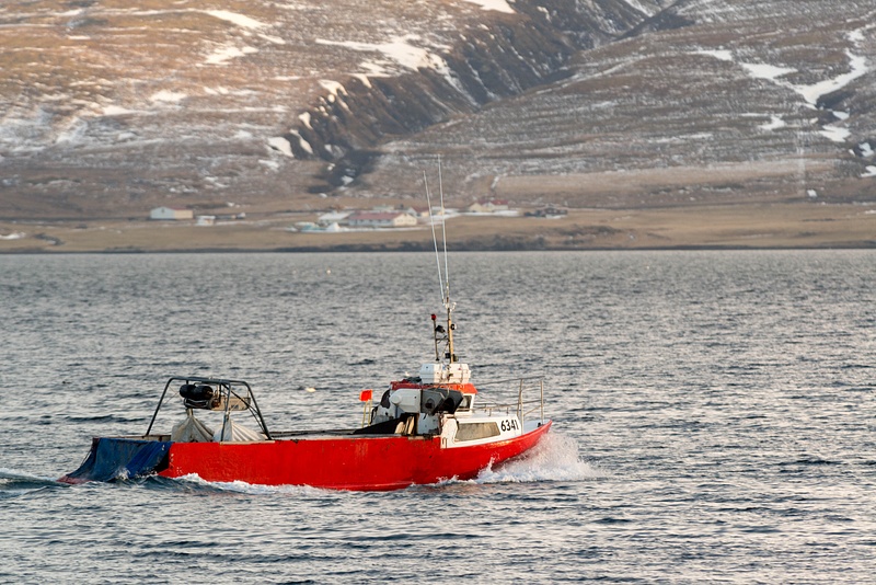 Coming past Drangsnes, many boats turned slightly to the east, probably heading to Hólmavík