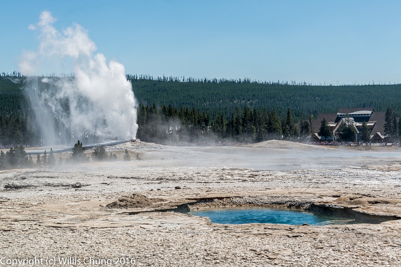 Old Faithful erupting, Infant Geyser in the foreground.