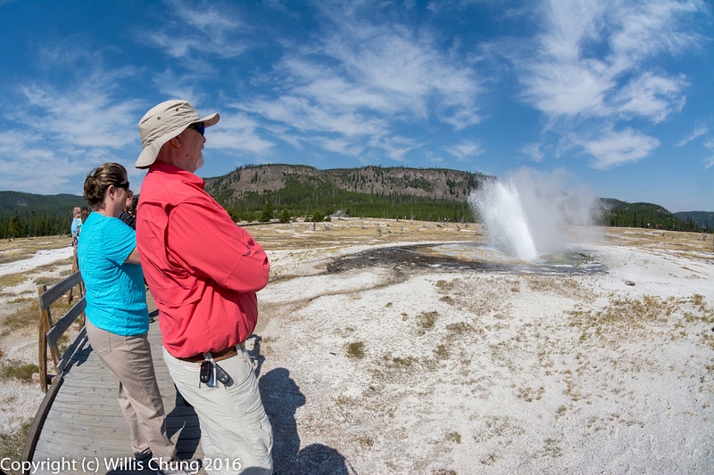 Jewel Geyser erupting, Biscuit Basin, Yellowstone National Park, Wyoming