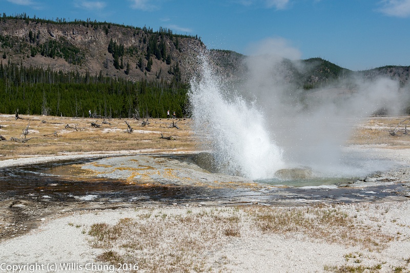 Jewel Geyser erupting, Biscuit Basin, Yellowstone National Park, Wyoming