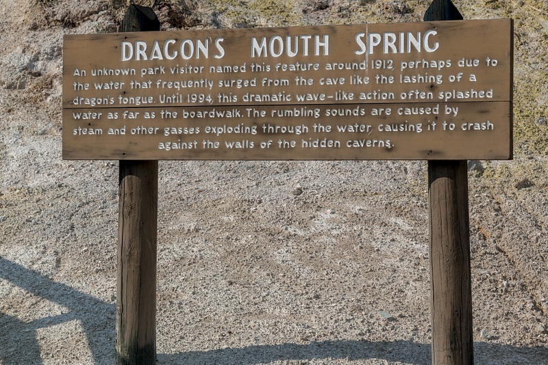 It took me a while to make the short walk to Dragon Mouth Spring, distracted by the birds!
