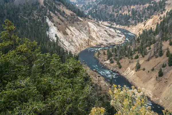 Looking north along the Yellowstone River from the...