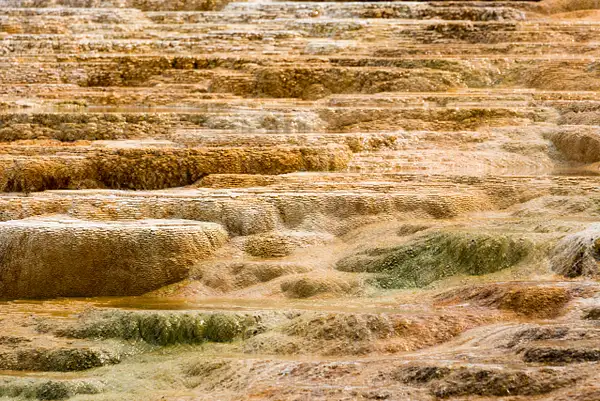Multicolored terraces of Mound Spring by Willis Chung